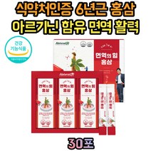 식약처인증 아르기닌 홍삼 스틱 60대 70대 남성 여성 집들이 상견례 인사 감사 퇴사 선물 세트 3만원대