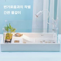 국내배송 거북이 어항 키우기 수조 수족관 어항세트