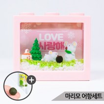 [올블루] 초록 코알라마을 마리모 키우기 세트 마리모포함, 상세 설명 참조