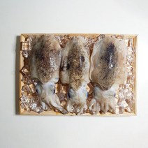 가든포레스트 통통씨푸드 갑오징어 5-8미 1kg, 단품없음