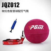PGM 정품 골프 스마트볼 스윙 연습기 팔 교정기 훈련 보조기구, 로즈