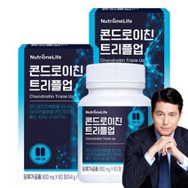 뉴트리원 콘드로이친 트리플 프리미엄원료1500mg 미국산 상어연골 글루코사민 칼마디, 2개, 60정