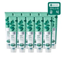 덴티스테 뉴 플러스화이트 치약, 11개, 200g