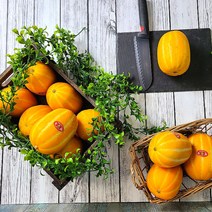 고당도 산지직송 가정용 정품 성주 꿀참외 참외 1.5kg 3kg 5kg 10kg, (정품) 10kg / 대과 / 28-36과