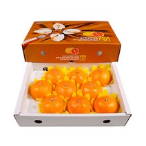 농장직송 고당도 천혜향 3kg 5kg 10kg, 1박스, 천혜향 3kg 왕특대(7~10과)