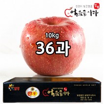 스노우애플 밀양얼음골사과 10kg 금황사과 부사, 1박스, 10kg 36과