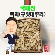 국내산 백지(구릿대뿌리) 300g/100g (경북 영천) 국산, 300g