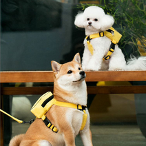 강아지 사각 자수 디테일 산책가방 하네스 강아지용 백팩 똥츄 가방(하네스 리드줄 포함), S, 그린공룡