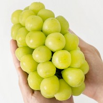 [잇츠프레쉬] 국내산 경북 망고포도 샤인머스켓 1kg(2~3수)에어백포장, 샤인머스켓 1kg 2~3수 가정용