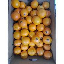 오렌지 퓨어스팩 블랙 라벨 고당도 오렌지 17kg 72과 36과 반박스, 36과 8.5kg( 반박스)