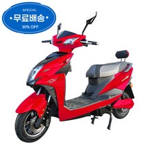[지멘스 스쿠터]지멘스 레이싱X 고출력1200W모터 전기자전거, 레이싱X(블루), 무료조립 및 테스트 후 발송