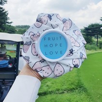 오늘도라베 골프 아이스팩 얼굴 얼음팩 얼음주머니, 그리고딸기