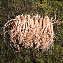 금산인삼 수삼 난발삼소 무료세척 1채 750g 18~22뿌리, 무료세척(약50g감량)