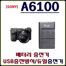 호환 소니 A6100 충전기 USB듀얼충전기 호환충전기, 1.소니 A6100 USB듀얼충전기(어답터미포함)
