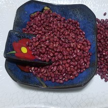보은농장 20년 햇 팥(적두) 500g 국내산, 1개, 500그람