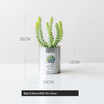 작은 화분 장식 모사 식물 다육 조화 거실 실내 테이블 장식 북유럽 그린 식 ins 풍 분경 선물, 실버철[중간]+구리문자열