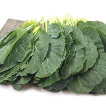 [특급] 싱싱한 쌈 케일 500g 1kg, 1개