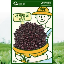 적색덩굴 강낭콩 씨앗 강낭콩 씨 종자 30g, 단품