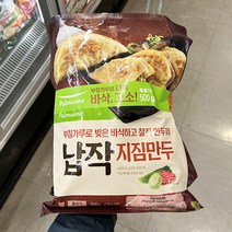 풀무원 납작지짐만두 기획 500g x 2 x 1개, 아이스보냉백포장