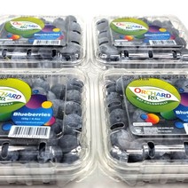 프리미엄 생블루베리 6팩 (한팩 125g내외) 칠레산