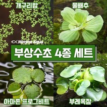 둥둥 수조 위 뜨는 부상 수초 키우기 4종 세트 (SET9), 단품