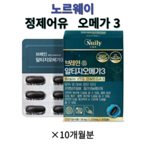 브레인 알티지 오메가3 혈행 건강, 30정, 10개