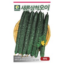 뱀 딸기 씨앗 1000립 - 뱀딸기 딸기키우기 야채씨앗 채소씨앗 채소재배 종묘 종자 베란다 텃밭 씨 씨앗 오이 호박 방울토마토 수박 참, 06_다농_새론삼척 오이(가시오이)(50립)