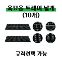 [좋은농자재] 육묘 트레이(낱개-10개), 162구