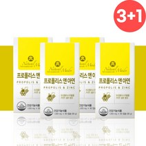 환절기 폴리폴리스 프로폴리스 영양제 약 12개월분