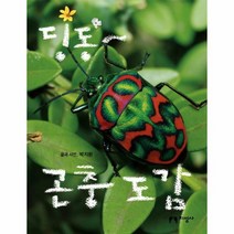 딩동 곤충도감, 상품명