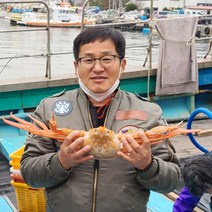 힘찬씨푸드 선주직송 포항 구룡포 연지홍게 자숙홍게 3kg, A급홍게