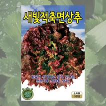 새빛적축면상추씨 3000립 적축면상추 씨앗 대장 KS종묘, 1개