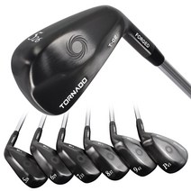야마모토 토네이도 T-02 블랙에디션 경량스틸 남성 6아이언세트_PTG, 6아이언/R