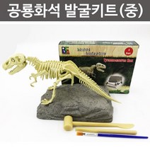 공룡화석 발굴키트(중) 화석 발굴실험 실험교구, 티라노사우루스