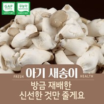 무농약 미니 새송이 꼬마 아기 새송이 2kg, 1개