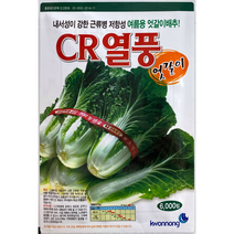 CR열풍엇갈이배추씨앗6000립여름용 얼갈이배추