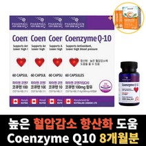 코엔자임 Q10 코큐텐 8개월분, 8개