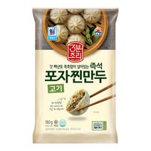 대림선 즉석포자 찐만두 180g10팩, 180g, 1세트