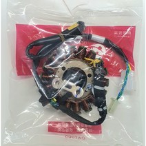 SYM GTS125EFI 제네레타 (OEM) 31120-LVA-000-TW, 1개