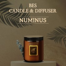 BES 누미너스 수제 캔들 강아지 고양이 냄새 제거 포함 46가지 자연향 향초, 250ml, 워머용(심지X), Hazelnut
