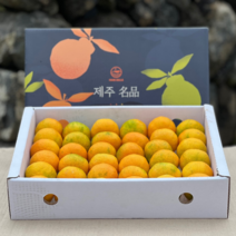 제주 맛있는감귤 노지감귤 초고당도 효돈감귤 1BOX, 감귤선물세트 5kg (로얄과), 선물용 1 BOX, 5kg