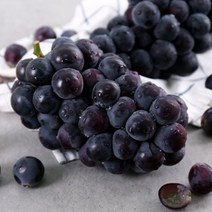 씨없는거봉 2kg(왕특) 고당도 국내산 영동 포도, 2kg(왕특)3수