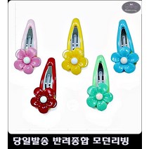 핀 애완동물꾸미기 팻미용 깜찍한 애완동물 똑딱이 애견물품 강아지멋내기머리끈