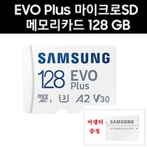 삼성전자 루카스 큐비아 이글Q QR939 메모리카드 128G 에보플러스 어댑터증정, 128GB