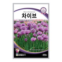 모칸도 (무배)세계 차이브 (챠이브) 꽃씨 허브(400립)