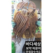 [마른문어특대] 포항 구룡포 마른 건조 오징어 1.5키로(20미) 당일배송