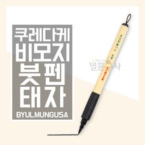 캘리그라피 손글씨쓰기 KURETAKE 쿠레다케 쿠레타케 지그 비모지붓펜 태자 대필 XT4-10S