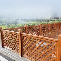 마당 데크 카라반 캠핑카 펜션