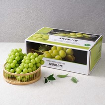 고당도 프리미엄 샤인머스켓 선물세트 선물용 추석 설, 2kg (3~4수 특품 / 보자기포장 추가)