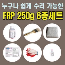 FRP 250g 6종 세트/물탱크 보트 수리 조형물 제작 (수지+경화제+유리섬유+장갑+붓+설명서), 세트1-FRP 250g 6종세트